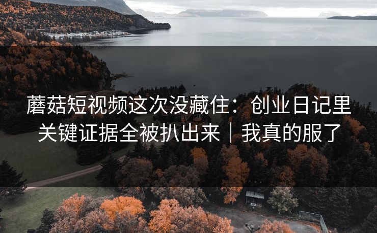 蘑菇短视频这次没藏住：创业日记里关键证据全被扒出来｜我真的服了