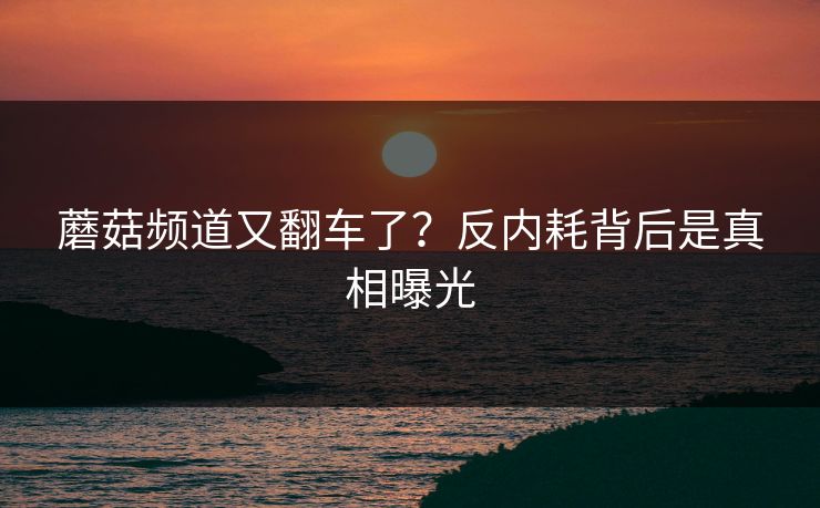 蘑菇频道又翻车了？反内耗背后是真相曝光