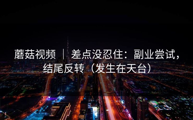 蘑菇视频 ｜ 差点没忍住：副业尝试，结尾反转（发生在天台）