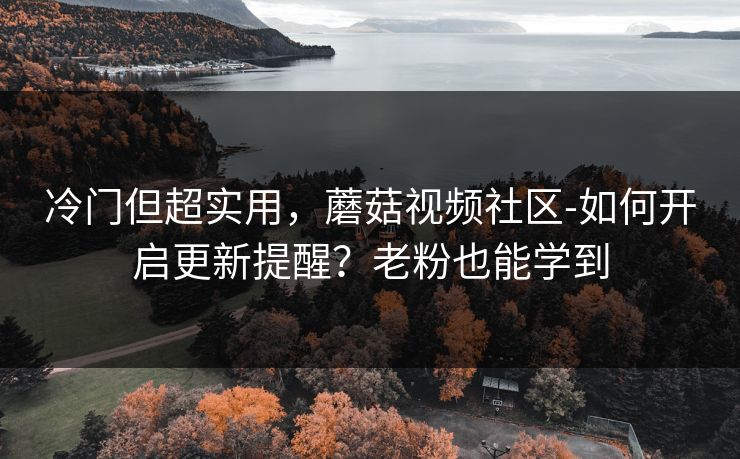 冷门但超实用，蘑菇视频社区-如何开启更新提醒？老粉也能学到